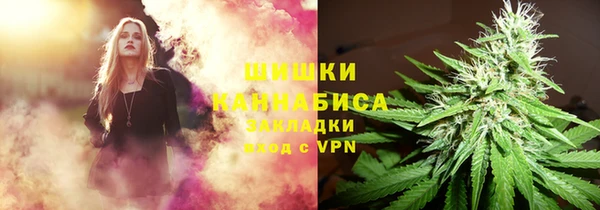 ПСИЛОЦИБИНОВЫЕ ГРИБЫ Алексин