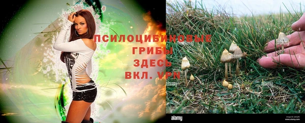 круглые Алзамай