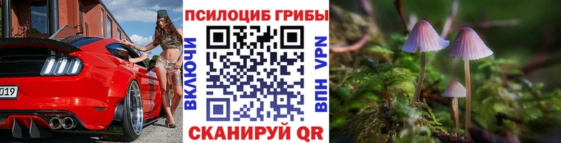 Псилоцибиновые грибы прущие грибы Новая Усмань